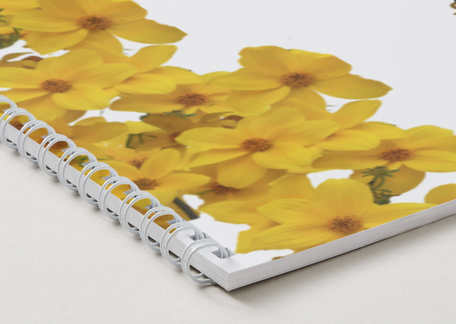2019 Ethiopian And 2026-2027 American Dual Wall Calendar